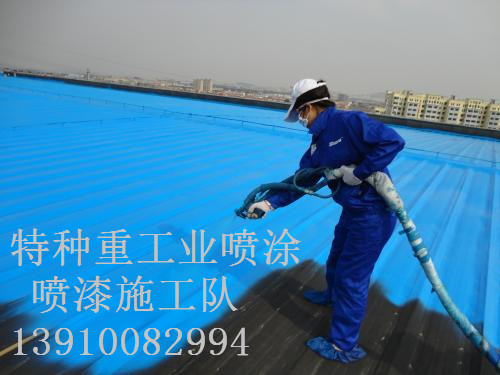 南林乡包括彩钢瓦喷漆翻新(